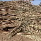 جريد نخل للبيع