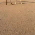 البيع خلفه تحته قعود سنه ثنو سليمه على شرط توصل