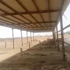 مضله