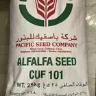 بذور برسيم ( باسفيك )