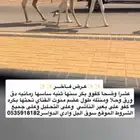 وضحا بكر رمانيه بداوه كفو تحتها بكره كفو لها مستقبل قوي