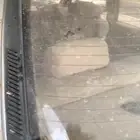 للبيع قزازه كرسيدا عسلية