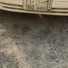 للبيع لوحتين