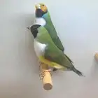 للبيع جوز قولديان فنش