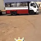 للايجار دينا شبك