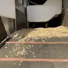 نقل خيل فرس حصان مهر