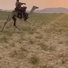 قعود ركبي طايع على شرط ماشالله تبارك الله