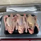 لبيع زغاليل شحم ذبح اليوم فرنسي وسلفر زاجل