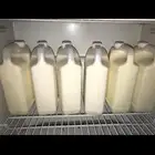 حليب ولبن وزبده
