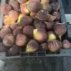 تين براون عضوي ذمه وامانه