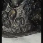 نيازك منوعة
