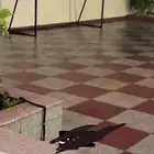 2 مرمى مستعمل