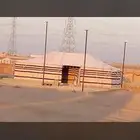 عرض بيوت شعر جميع المقاسات مخيمات البر