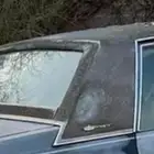 كابريس بورقهام