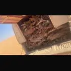 سندوق جايب شاص لبيع شرط
