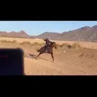 حصان ورق سرعه