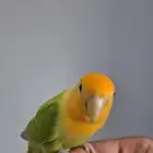 روز اليف جدااا ونشبه