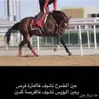 عسافه خيل