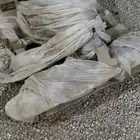 حصاده للبيع صناعة إيطاليا