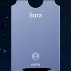 كود sora 2