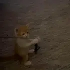 قط لتبني ذكر بني