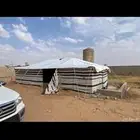 بيوت شعر ابيض