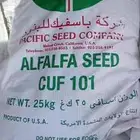 بذور برسيم باسفيك كاف 101 الأمريكي.