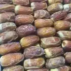 تمر صقعي ومجدول