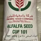 بذور برسيم ( باسفيك ) الموقع الخفجي