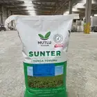 بذور