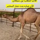 قعود سنه حوار
