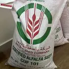 بذور برسيم كاف 101