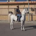 مهره شعبية