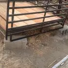 شده شبك اسيزو