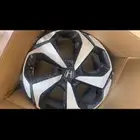جنوط كورد 2019