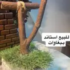 للبيع استاند ببغاوات