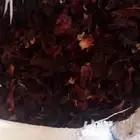 حبق المدينه و حناء