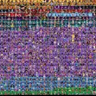 حساب فورت شيطون وايكونيك