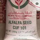 للبيع بذور