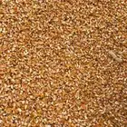 ذرة حب حبشي صفرا