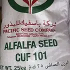 بذور باسفيك ( برسيم ) نوع 101 الامريكي