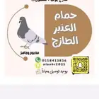 حمام زغاليل