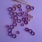 حجل روز بادجي طيور