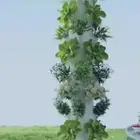 برج زراعة