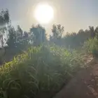 مزرعه للايجار بعد رفحاء 80 كيلو