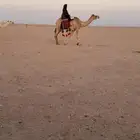 للبيع ركبي