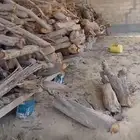 سعف وحطب للبيع