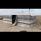 بيوت شعر ابيض للبيع