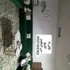 كنب للبيع حي النظيم