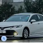 توصيل من تبوك الى حقل ومن حقل الو تبوك